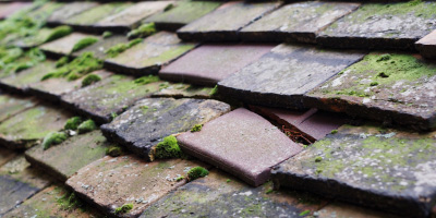 Middleton roof repair costs